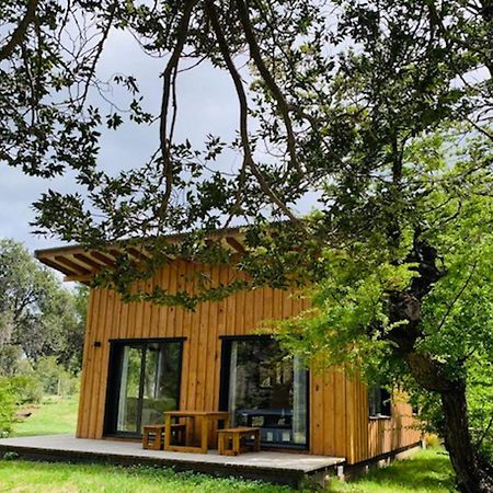 Kingfisher De Los Andes Villa Meliquina Ngoại thất bức ảnh