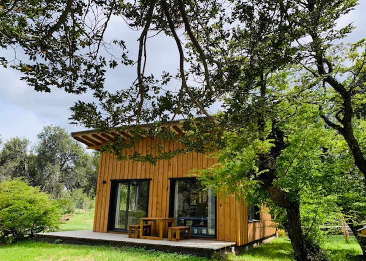 Kingfisher De Los Andes Villa Meliquina Ngoại thất bức ảnh