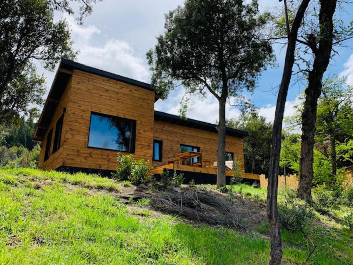 Kingfisher De Los Andes Villa Meliquina Ngoại thất bức ảnh