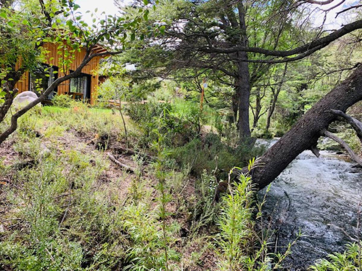 Kingfisher De Los Andes Villa Meliquina Ngoại thất bức ảnh