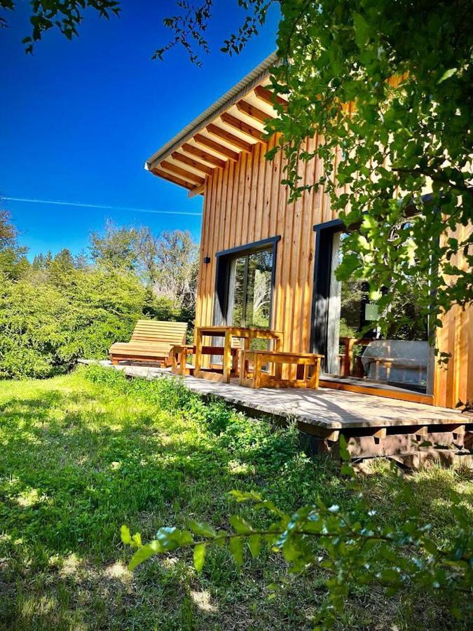 Kingfisher De Los Andes Villa Meliquina Ngoại thất bức ảnh
